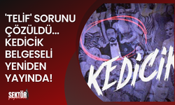 'Telif' sorunu çözüldü... Kedicik belgeseli yeniden yayında!