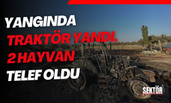 Samanlık yangınında traktör ve saman balyaları küle döndü, 2 hayvan telef oldu