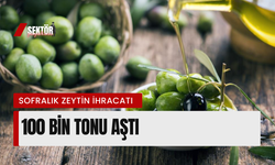 Sofralık zeytin ihracatı 100 bin tonu aştı