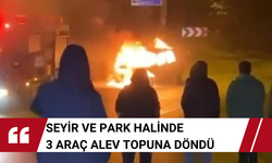 Seyir ve park halinde 3 araç alev topuna döndü