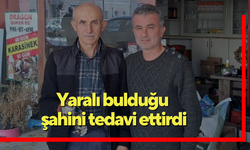 Yaralı bulduğu şahini tedavi ettirdi