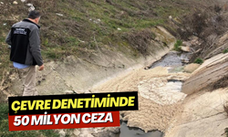 Çevre denetiminde 50 milyon ceza