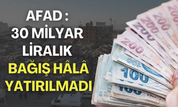 AFAD'dan açıklama:  '30 milyar liralık bağış hâlâ yatırılmadı'