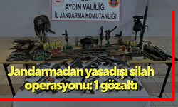 Jandarmadan yasadışı silah operasyonu: 1 gözaltı