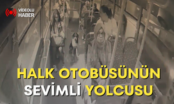 Halk otobüsünün sevimli yolcusu