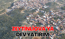 Zeytinliova’ya dev tarımda çalışmalar start aldı