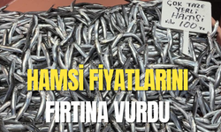 Hamsi fiyatlarını fırtına vurdu