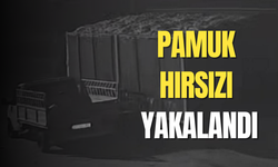 Pamuk hırsızı yakalandı