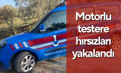 Motorlu testere hırsızları yakalandı