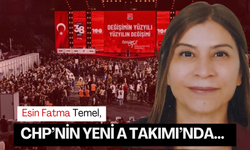 Esin Fatma Temel, Yüksek Disiplin Kurulu üyesi oldu