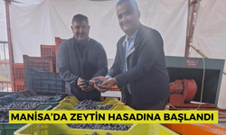 Zeytin kilogramının tavan fiyatı 100 TL'yi buldu