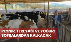 Süt ve süt ürünlerine zam kapıda ! Bazı ürünler 300 liraya ulaştı