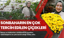 Sonbaharın en çok tercih edilen çiçekleri