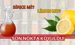 Sirke mi, limon mu? Yarım asırlık konuya vatandaş noktayı koydu!