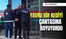 Caninin iş yerindeki yoğurt kovalarının içinde çok sayıda ölü kedi bulundu!