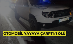 Otomobil yayaya çarptı: 1 ölü