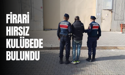 Firari hırsız saklandığı kulübede bulundu