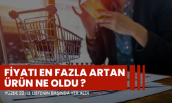 Yüzde 22 ile listenin başında yer aldı