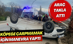 Köpeğe çarpmamak için manevra yaptı