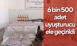 Afyonkarahisar’da 6 bin 500 adet uyuşturucu ele geçirildi