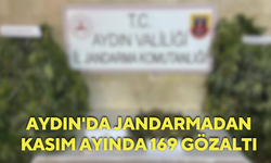 Aydın'da jandarmadan Kasım ayında 169 gözaltı