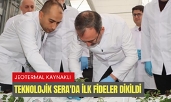 Jeotermal Kaynaklı Teknolojik Sera'da ilk fideler dikildi