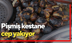 Pişmiş kestane cep yakıyor