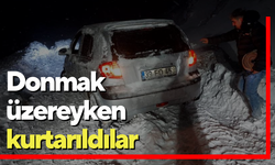 Donmak üzereyken kurtarıldılar