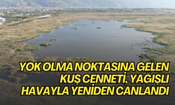 Yok olma noktasına gelen kuş cenneti, yağışlı havayla yeniden canlandı