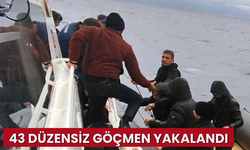 43 düzensiz göçmen yakalandı