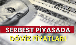 Serbest piyasada döviz fiyatları