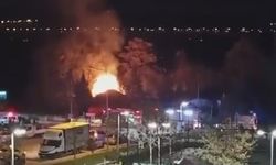 Çiftlik alevlere teslim oldu