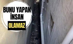 Yürekleri sızlatan haber... Bunu yapan insan olamaz! Bebeği banyo penceresinden bina boşluğuna attı.