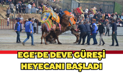 Ege’de deve güreşi heyecanı başladı