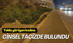 Yolda yürüyen kadına cinsel tacizde bulunan şüpheli tutuklandı