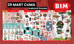 29 Mart BİM Aktüel Kataloğu | İndirimli Su Geçirmez Alez, Çok Amaçlı Organizer, Balkon Masası, Bambu Sunumluklar...