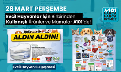 Evcil Hayvan Sahipleri Kaçırmasın! | A101'e 28 Mart'ta İndirimli Kedi-Köpek Ürünleri ve Mamaları Geliyor