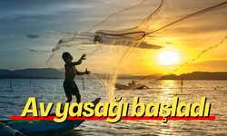 Av yasağı başladı