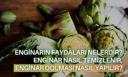 Enginarın faydaları nelerdir? Enginar nasıl temizlenir, enginar dolması nasıl yapılır?