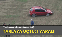 Yoldan çıkan otomobil, tarlaya uçtu: 1 yaralı