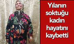 İnek otlattığı esnada yılan sokan kadın öldü