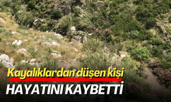 Kayalıklardan düşen kişi hayatını kaybetti