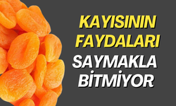 Kayısının Sağlık Açısından Faydaları Saymakla Bitmiyor | Kayısının yapım aşaması