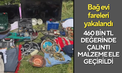 Bağ evi fareleri yakalandı