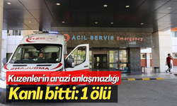 Kuzenlerin arazi anlaşmazlığı kanlı bitti: 1 ölü