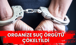 Organize suç örgütü çökeltildi