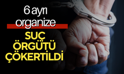 6 ayrı organize suç örgütü çökertildi