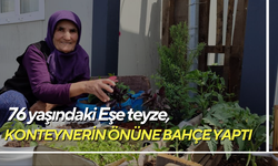 76 yaşındaki Eşe teyze, konteynerin önüne bahçe yaptı