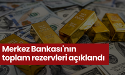 Merkez Bankası'nın toplam rezervleri azaldı