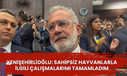 Yenişehirlioğlu: Sahipsiz hayvanlarla ilgili çalışmalarımı tamamladım